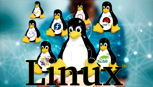 linux分區(qū)滿了怎么辦？.png